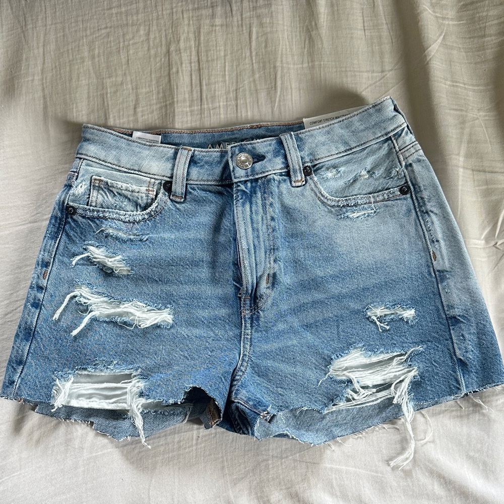 American Eagle Outfitters Light Blue Distressed Jean Shorts